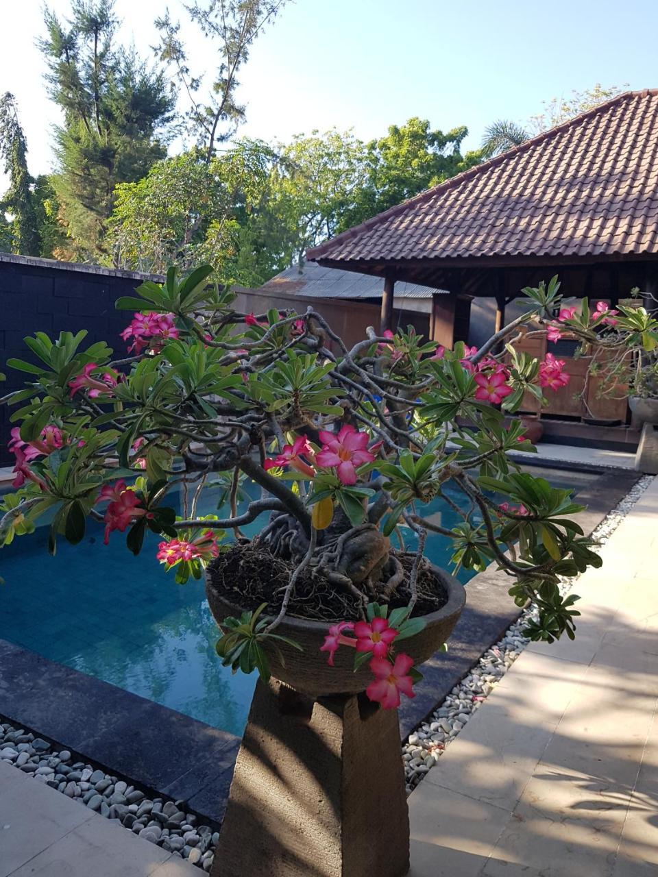 Gili Exotic Villa Gili Trawangan Exteriör bild